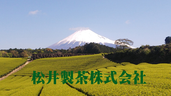 松井製茶株式会社　茶樹の会